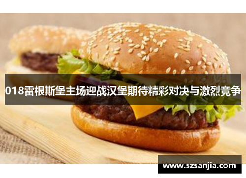 018雷根斯堡主场迎战汉堡期待精彩对决与激烈竞争