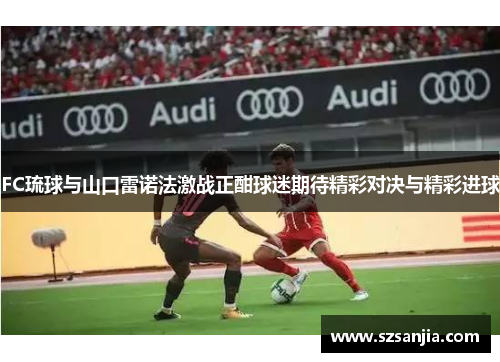 FC琉球与山口雷诺法激战正酣球迷期待精彩对决与精彩进球