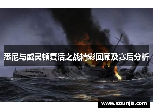 悉尼与威灵顿复活之战精彩回顾及赛后分析