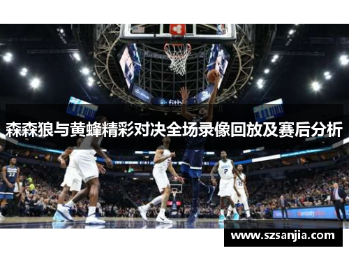 森森狼与黄蜂精彩对决全场录像回放及赛后分析